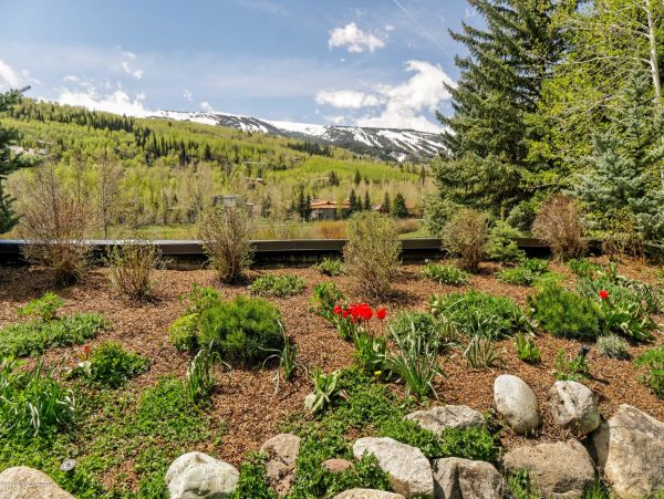 Snowmass 2 Bedroom Townhome with Deck and BBQ Grill