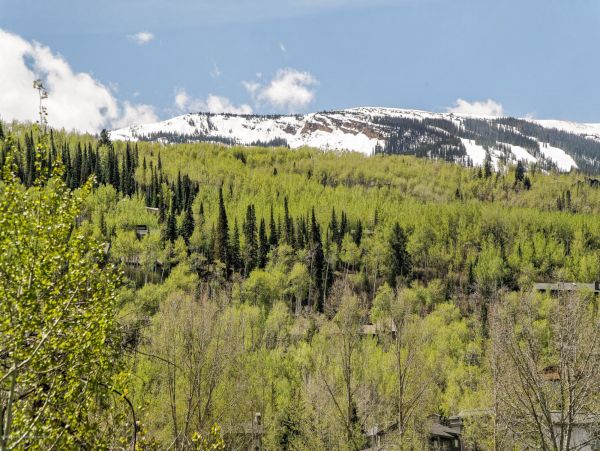 Snowmass 2 Bedroom Townhome with Deck and BBQ Grill