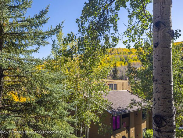 Snowmass Home 987182