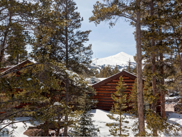 Luxury Breckenridge Ski Rental Shuttle to Lifts Sleeps 16