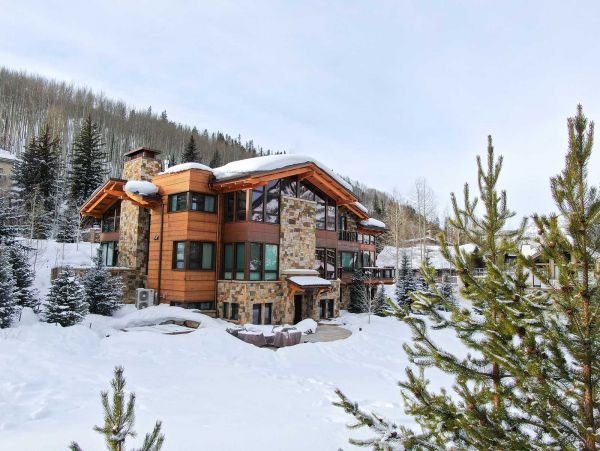 Luxury Lionshead Forest Rd Vacation Home 50 yards to Slopes