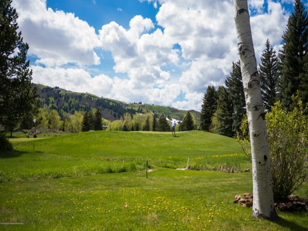 Aspen Home 987341