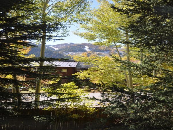 Aspen Home 987349