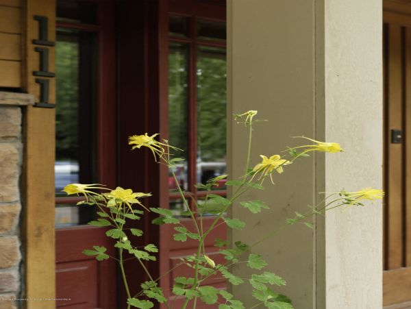 Aspen Home 987350