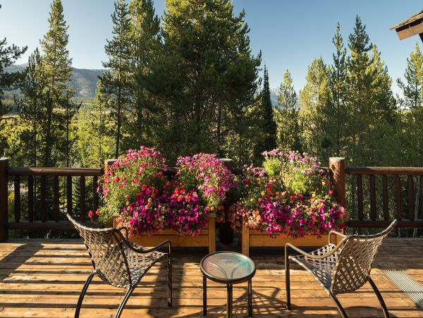Secluded Cabin the woods with views of the Teton Range