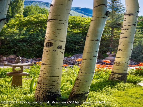 Aspen Home 987362