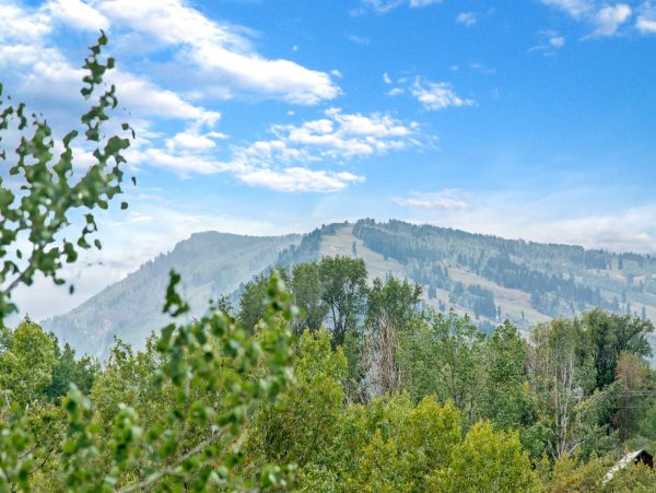 Aspen Home 987364
