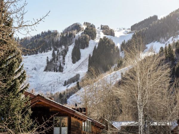 Aspen Home 987367