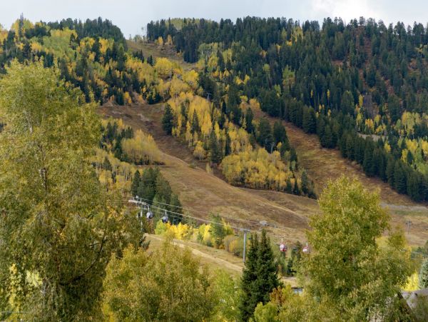 Aspen Home 987373