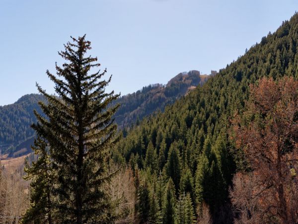 Aspen Home 987383