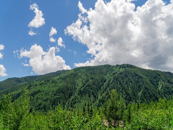 Aspen Home 987387
