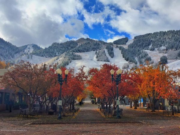 Aspen Home 987387