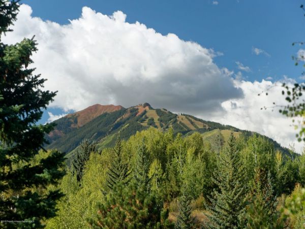 Aspen Home 987390
