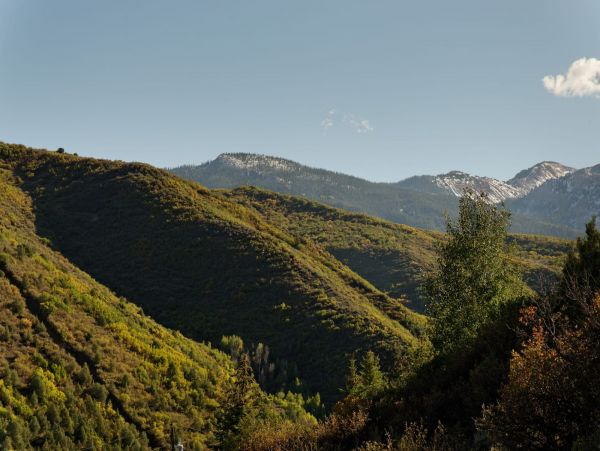 Aspen Home 987396
