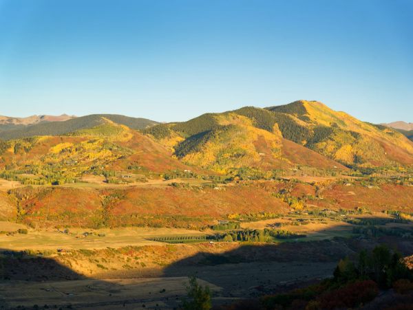 Aspen Home 987398