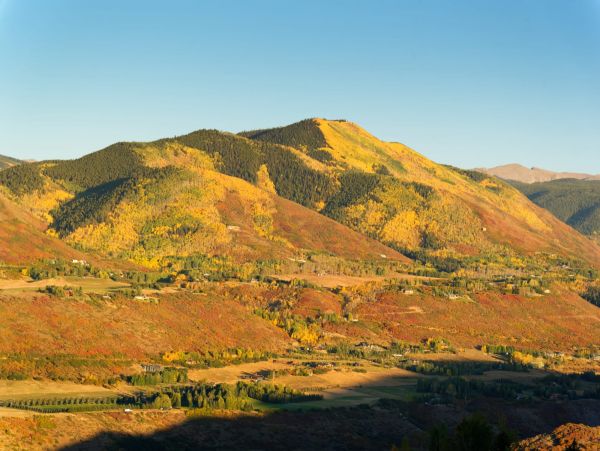 Aspen Home 987398