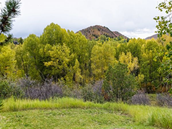 Aspen Home 987405