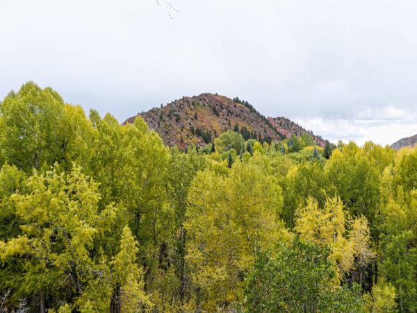 Aspen Home 987405