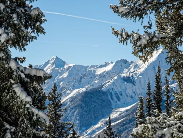 Aspen Home 987412
