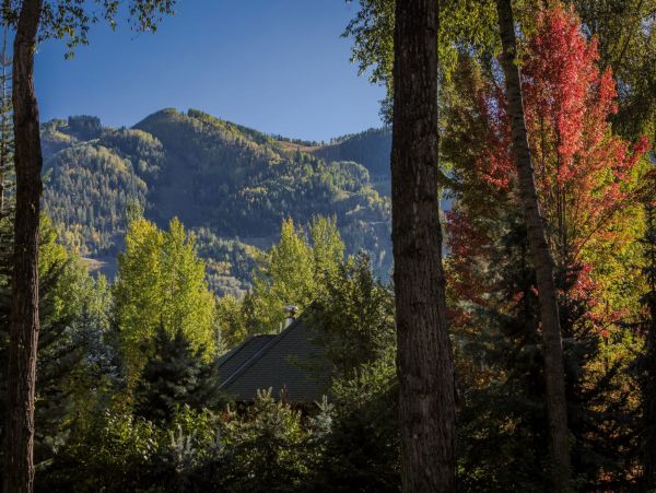 Aspen Home 987416