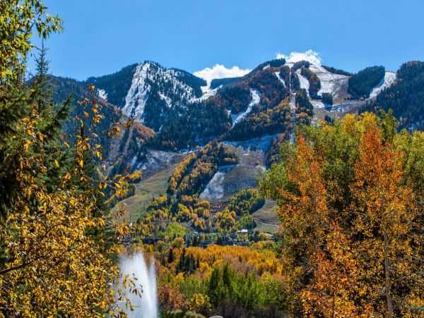 Aspen Home 987420