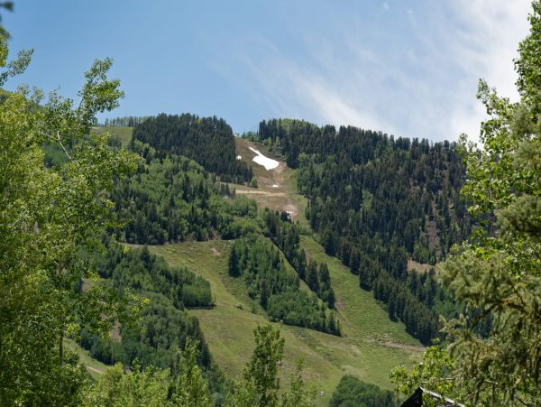 Aspen Home 987423