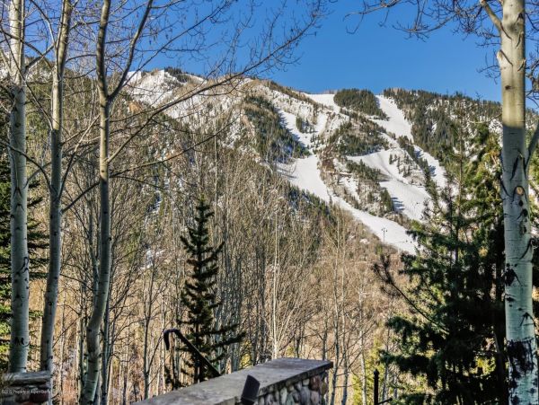 Aspen Home 987444