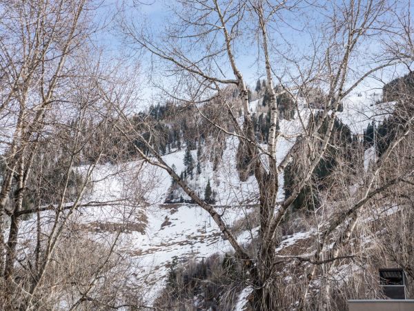 Aspen Home 987462