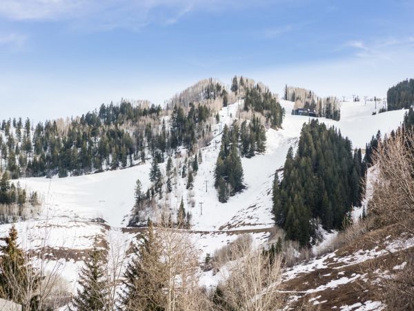 Aspen Home 987462