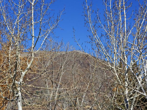 Aspen Home 987467