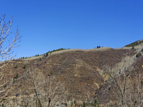 Aspen Home 987467