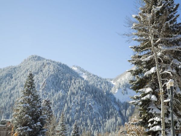 Aspen Home 987467