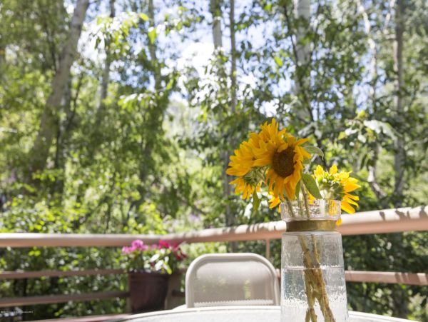Aspen Home 987471