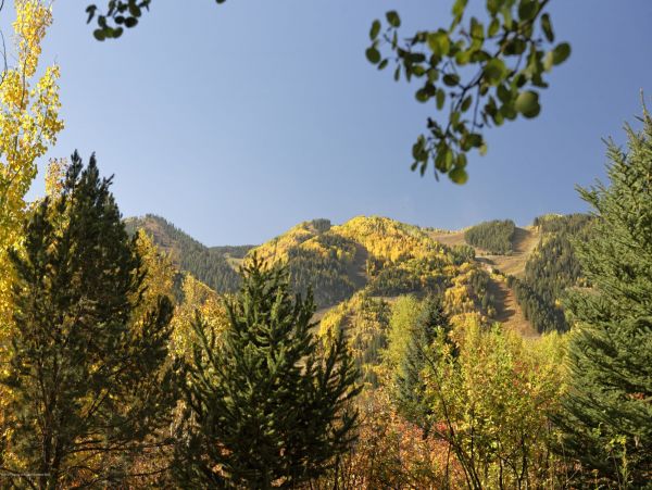 Aspen Home 987487