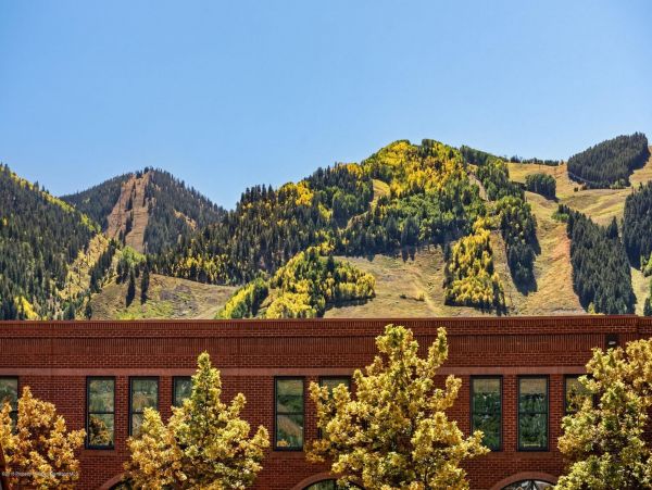 Aspen Home 987489