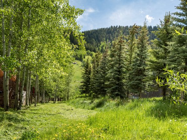 Aspen Home 987492