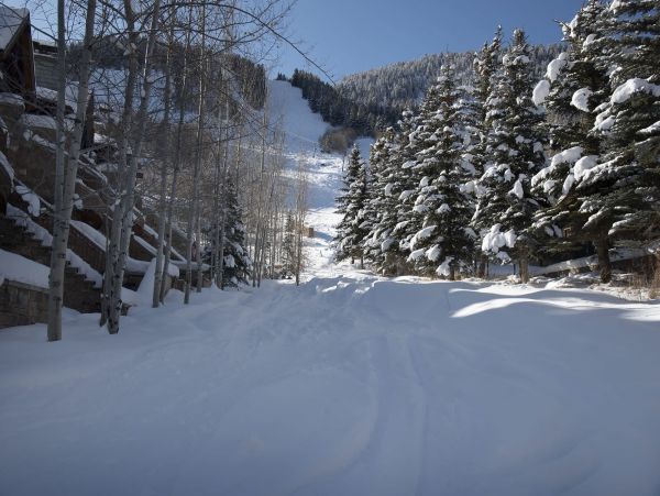 Aspen Home 987492