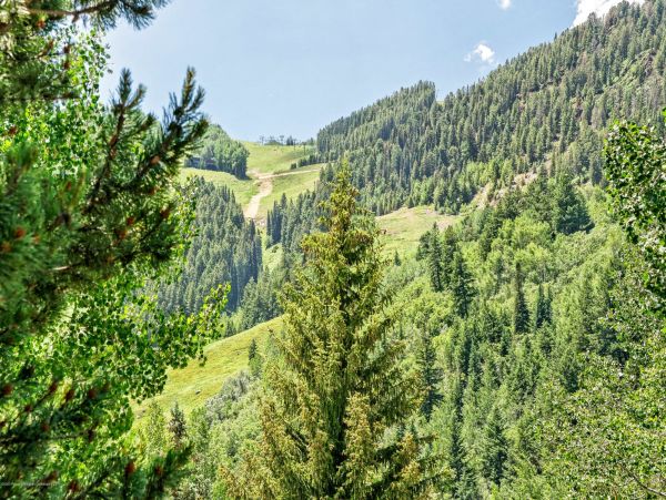 Aspen Home 987501