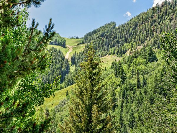 Aspen Home 987501