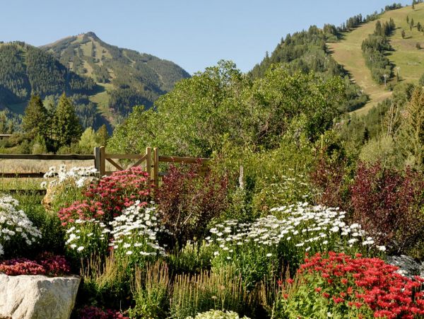 Aspen Home 987506