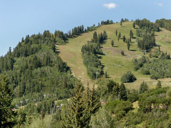 Aspen Home 987506