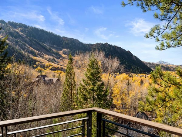 Aspen Home 987508