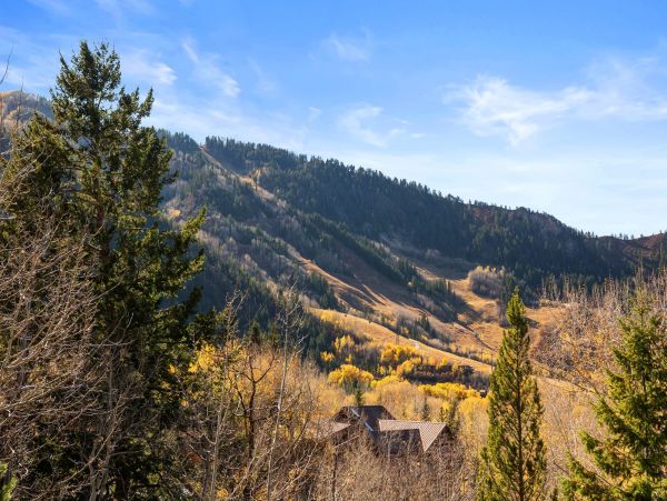 Aspen Home 987508