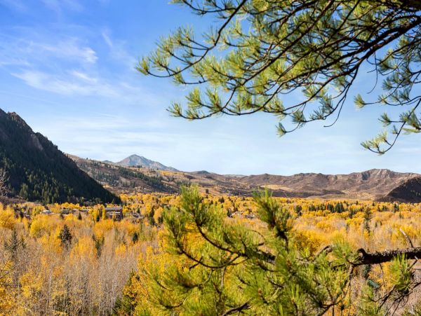 Aspen Home 987508