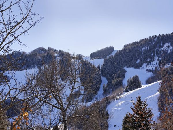 Aspen Home 987512