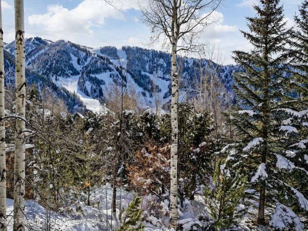 Aspen Home 987529