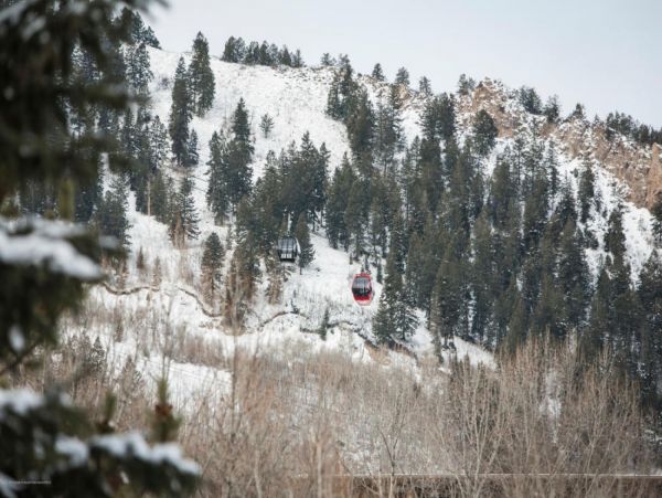 Aspen Home 987531