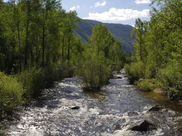 Aspen Home 987532
