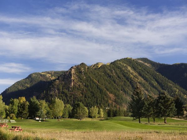 Aspen Home 987537