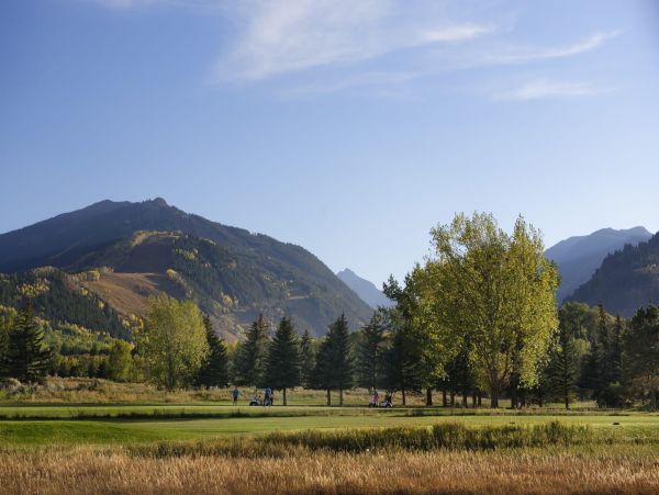 Aspen Home 987537